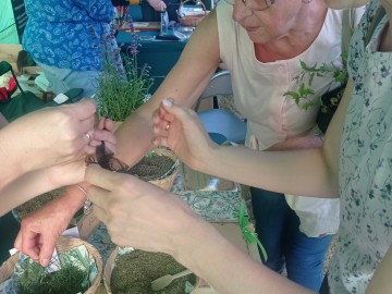 Festiwal_ogrodniczy_w_Nieborowie, 